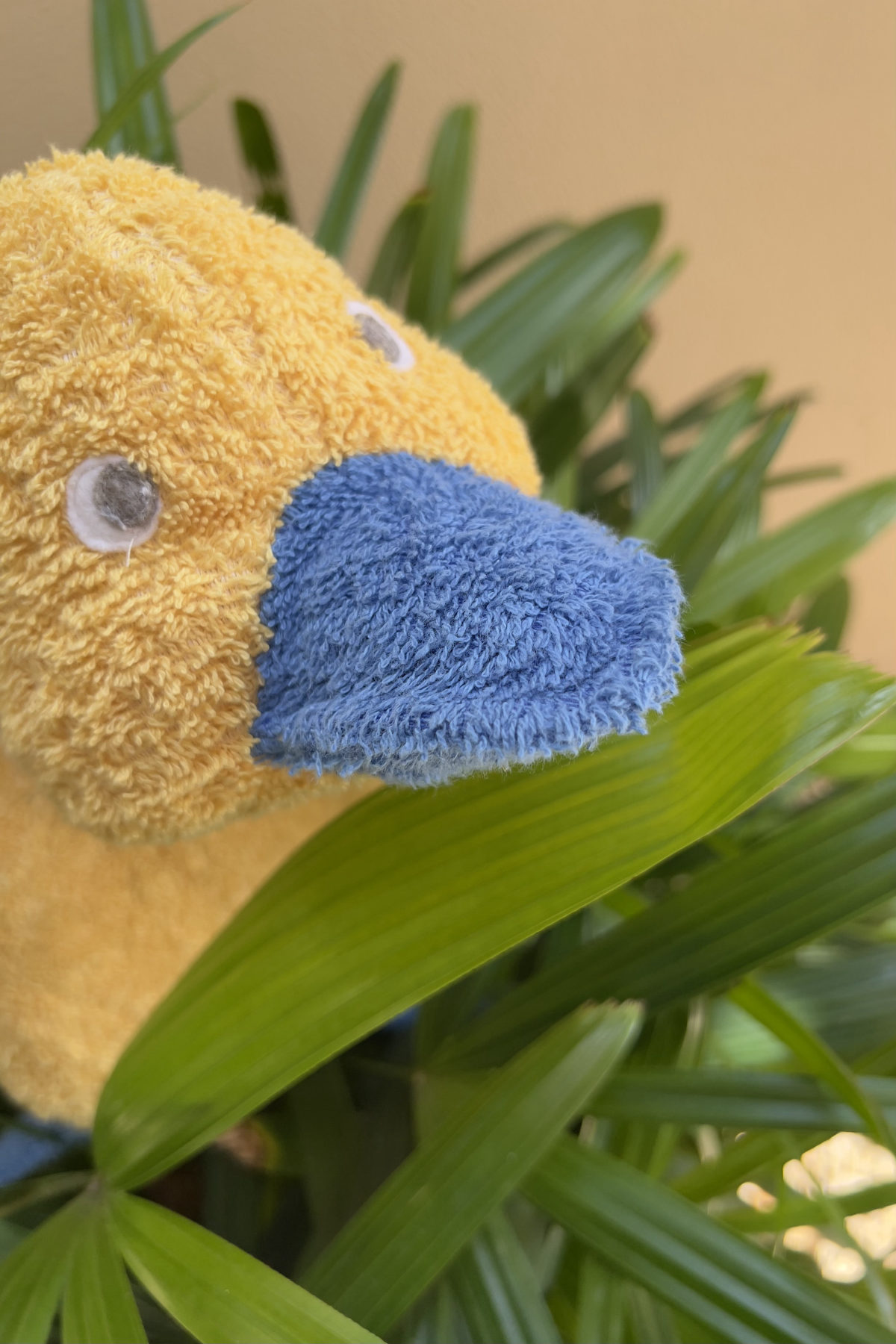 Sydney, Australia photo 1